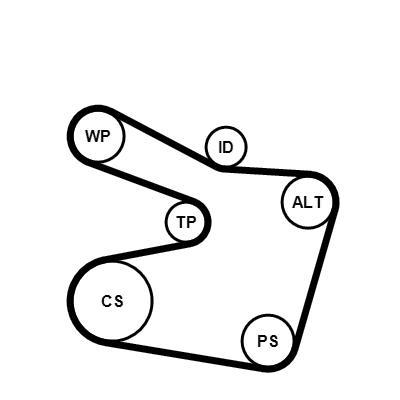 Kit de correias trapezoidais estriadas CONTITECH ref. 6PK1538K2