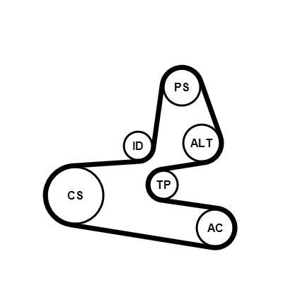 Kit de correias trapezoidais estriadas CONTITECH ref. 6PK1564K1