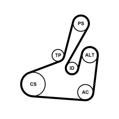 Kit de correias trapezoidais estriadas CONTITECH ref. 6PK1710K2