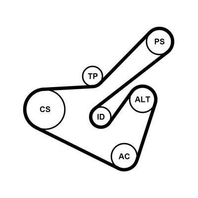 Kit de correias trapezoidais estriadas CONTITECH ref. 6PK1725K2