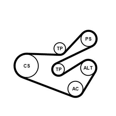 Kit de correias trapezoidais estriadas CONTITECH ref. 6PK1740K3