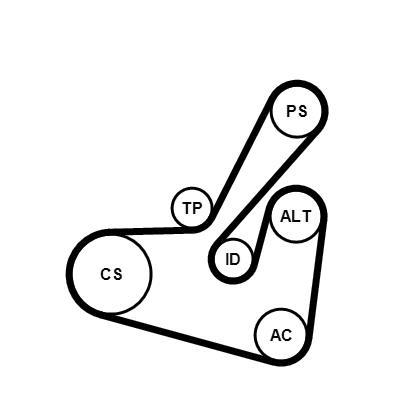 Kit de correias trapezoidais estriadas CONTITECH ref. 6PK1750K1