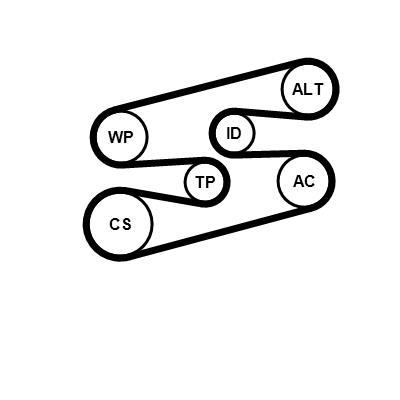 Kit de correias trapezoidais estriadas CONTITECH ref. 6PK1780K2