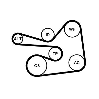 Kit de courroie d'accessoire CONTITECH ref. 6PK1830K1