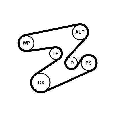 Kit de correias trapezoidais estriadas CONTITECH ref. 6PK1893K1
