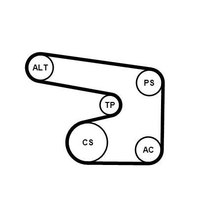 Kit de correias trapezoidais estriadas CONTITECH ref. 6PK1900K1