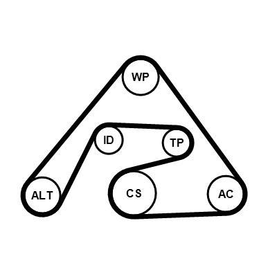 Kit de correias trapezoidais estriadas CONTITECH ref. 6PK2030K2