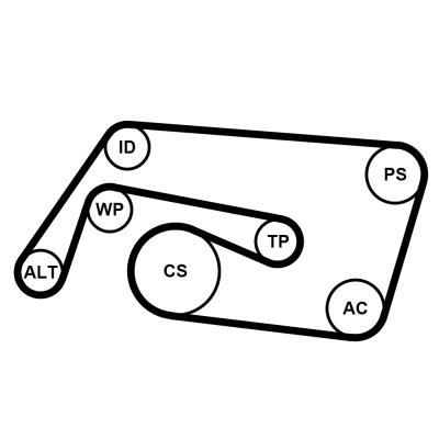Kit de correias trapezoidais estriadas CONTITECH ref. 6PK2260K2