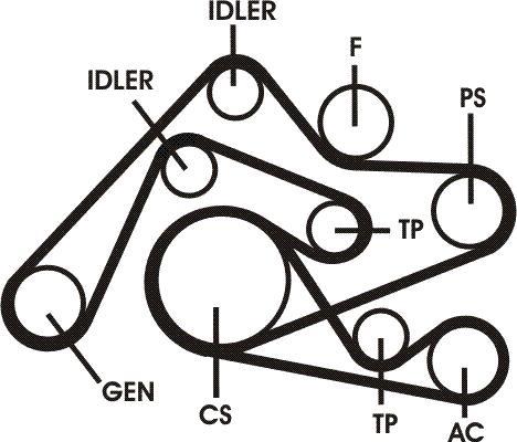 Kit de correias trapezoidais estriadas CONTITECH ref. 6PK2404D1