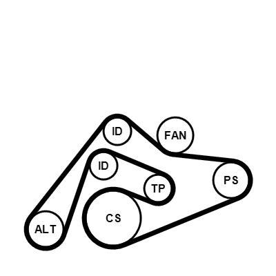Kit de correias trapezoidais estriadas CONTITECH ref. 6PK2404K1