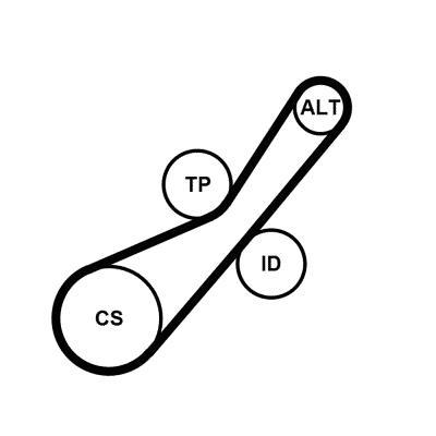 Kit de correias trapezoidais estriadas CONTITECH ref. 6PK800K2