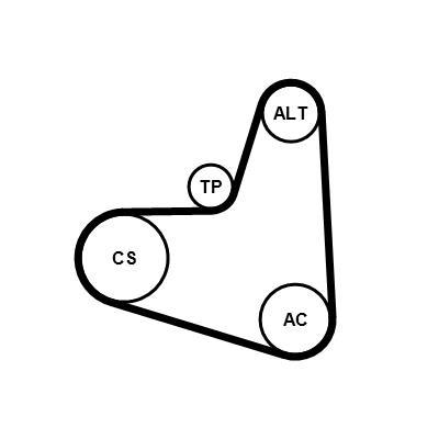 Kit de correias trapezoidais estriadas CONTITECH ref. 6PK948K1