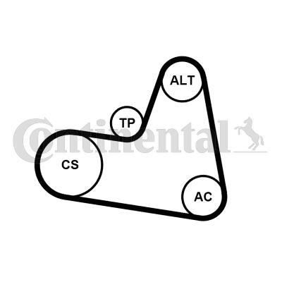 Kit de courroie d'accessoire (Courroie d’alternateur) CONTITECH ref. 6PK962K2