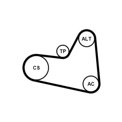 Kit de correias trapezoidais estriadas CONTITECH ref. 6PK976K1