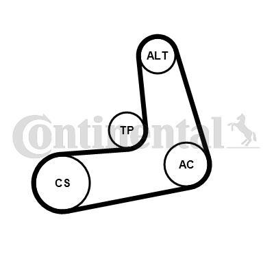 Kit de correias trapezoidais estriadas CONTITECH ref. 6PK986K1