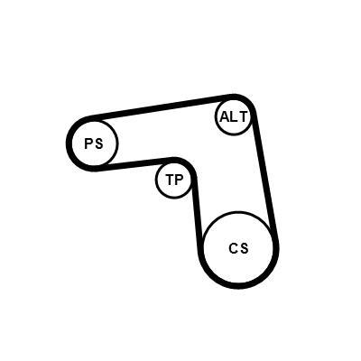 Kit de correias trapezoidais estriadas CONTITECH ref. 7PK1076K1