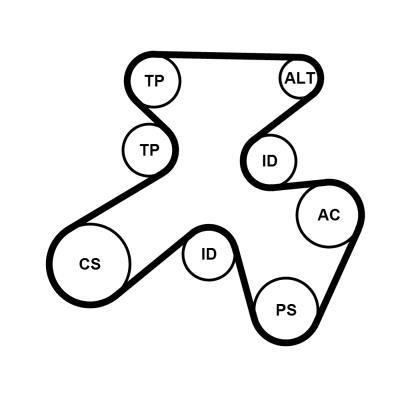 Kit de correias trapezoidais estriadas CONTITECH ref. 7PK1855K1