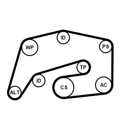 Kit de correias trapezoidais estriadas CONTITECH ref. 8PK2035K1