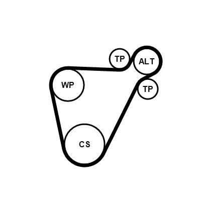 Kit de correias trapezoidais estriadas CONTITECH ref. 8PK954 EXTRA K1