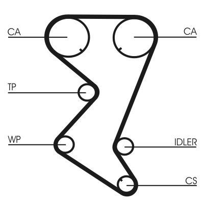 Correa de distribución CONTITECH ref. CT1138