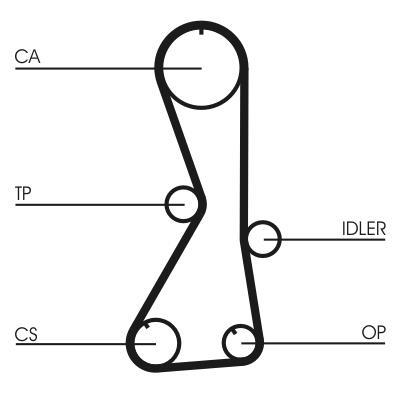 Correa de distribución CONTITECH CT1016