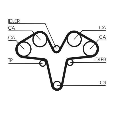 Courroie de distribution (Courroie crantée) CONTITECH ref. CT1119