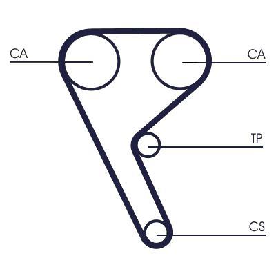 Courroie de distribution (Courroie crantée) CONTITECH ref. CT1157