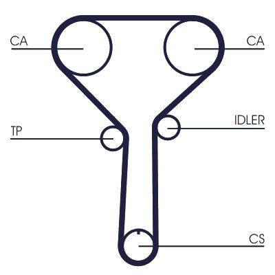 Courroie de distribution (Courroie crantée) CONTITECH CT1254