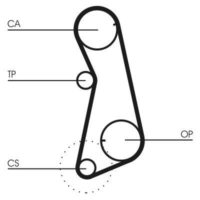 Courroie de distribution (Courroie crantée) CONTITECH ref. CT637
