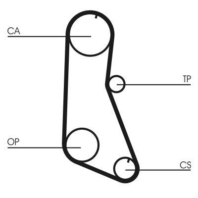 Correa de distribución CONTITECH ref. CT716