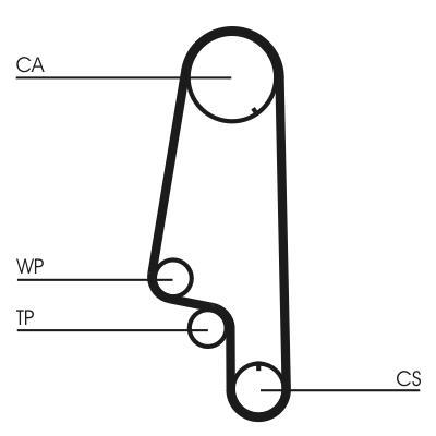 Correa de distribución CONTITECH CT845