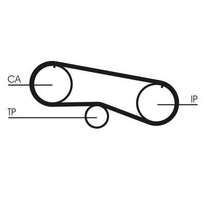 Courroie de distribution (Courroie crantée) CONTITECH ref. CT933