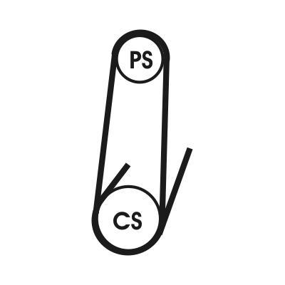 Juego de correas auxiliares servicios CONTITECH ref. 4PK1022 ELAST T1