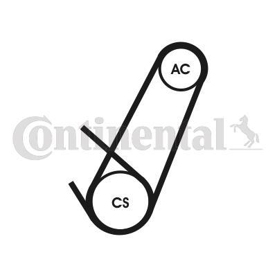 Juego de correas auxiliares servicios CONTITECH ref. 4PK924 ELAST T1
