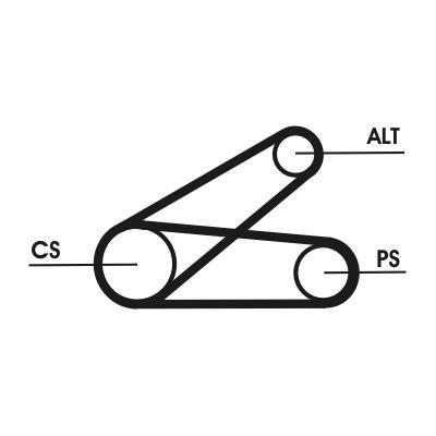 Kit de courroie d'accessoire (Courroie d’alternateur) CONTITECH ref. 6PK873 ELAST T1