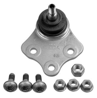 Butée hydraulique Coupé