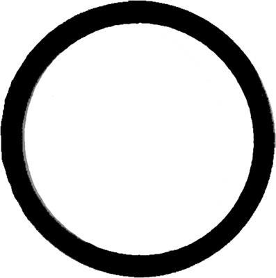 Joint de collecteur d'admission REINZ 71-35247-00