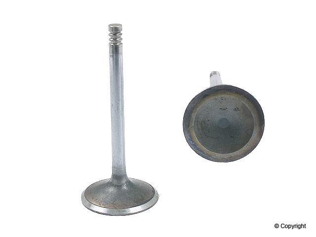 Butée hydraulique Coupé