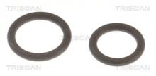 Triscan A/S 596-1002