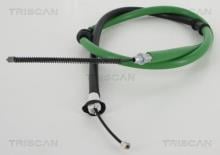 Triscan A/S 8140 10160