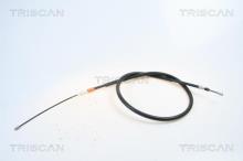 Triscan A/S 8140 251107