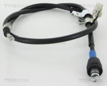 Triscan A/S 8140 43137