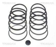 Triscan A/S 8170 204602
