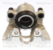 Triscan A/S 8175 10131