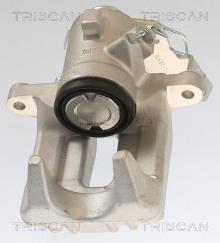 Triscan A/S 8175 29216