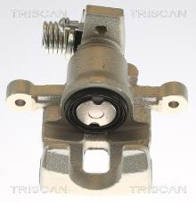 Triscan A/S 8175 43201