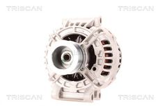 Triscan A/S 8310 10181
