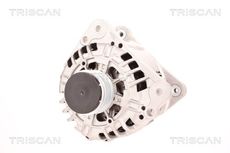 Triscan A/S 8310 29109