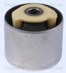 Triscan A/S 8500 17810