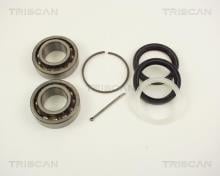 Triscan A/S 8530 17101